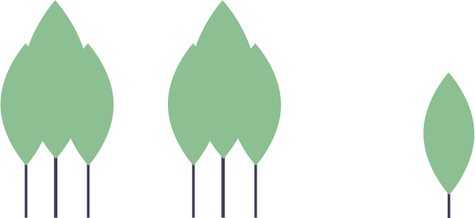 a forest